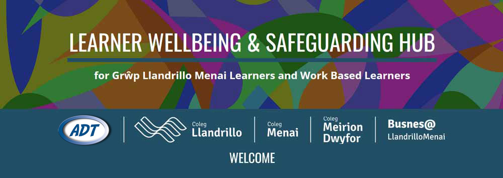 Learner Wellbeing & Safeguarding Hub
